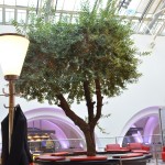 Baum in der 1. Klasse DB Bahn Lounge in Frankfurt