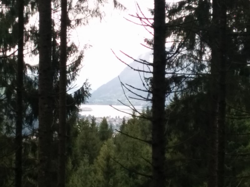 Blick auf den Zeller See auf dem Guggenhöhenweg
