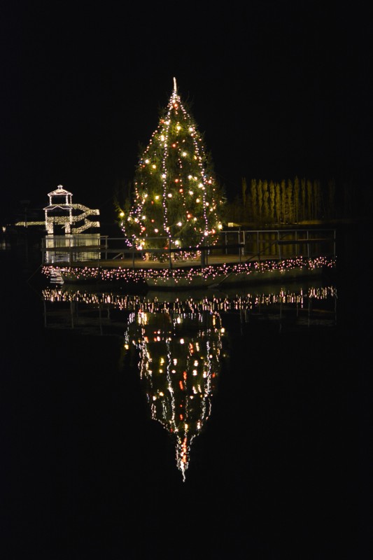 Weihnachtsbaum im Hafen von Pörtschach