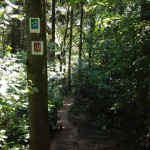 Ein Stück der Verlängerung des Saar-Hunsrück-Steigs, 21. Etappe