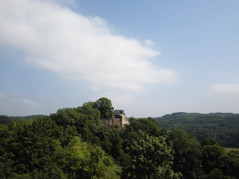 Blick zum Schloss Schöneck