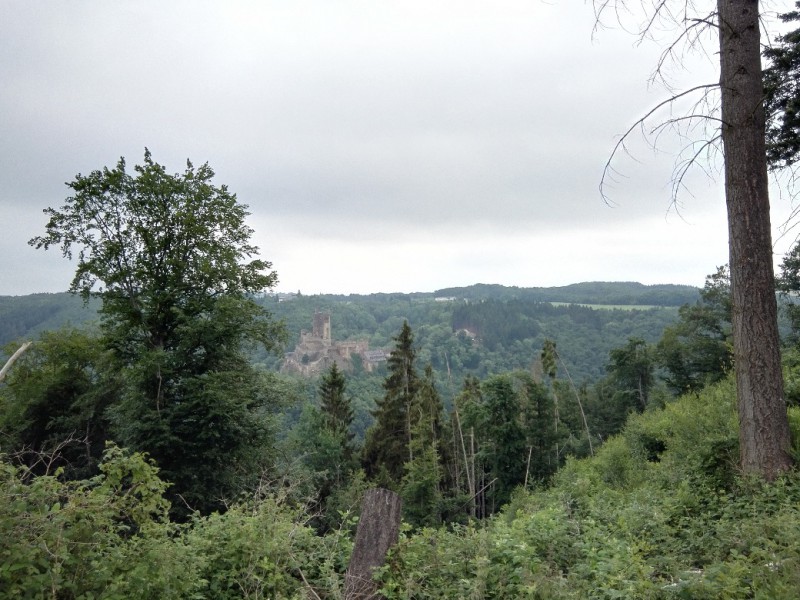 Blick zur Ehrenburg auf dem Saar-Hunsrück.Steig kurz nach Morshausen