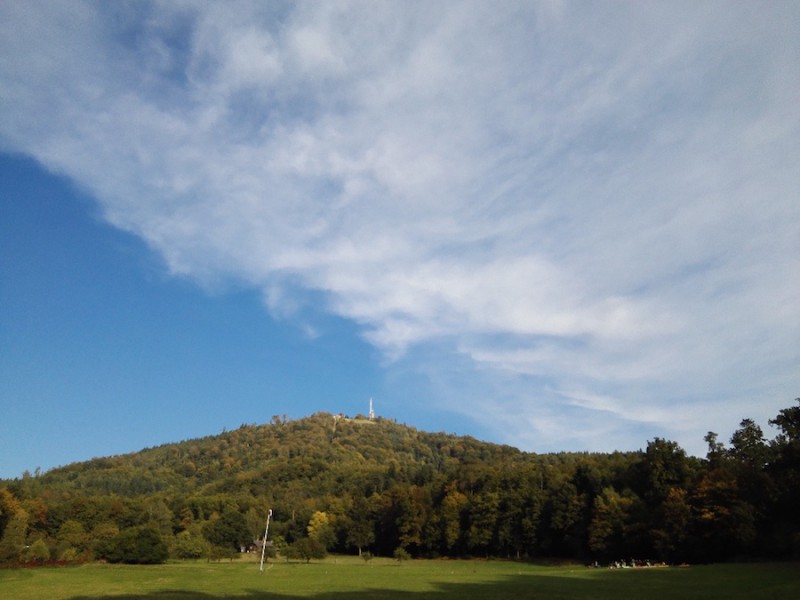 Blick von unten, wo auch die Gleitschirmfliegen landen, auf den Merkurberg Baden-Baden
