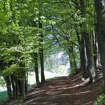 Tunnelblick nach oben (übrigens der einzige "anstrengende Teil" dieser Tour)