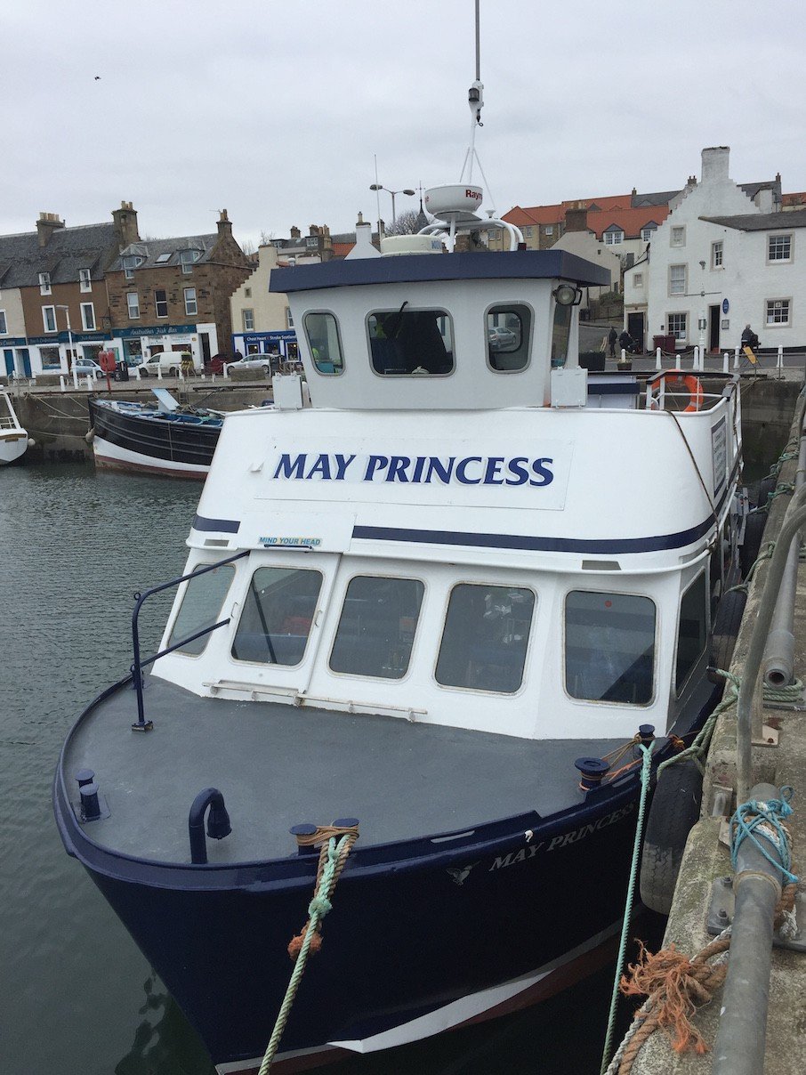 Die May Princess fährt in den Sommermonaten von Anstruther zur Isle of May