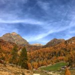 Herbst am Kronplatz bei Terenten / Terento unterhalb der Astnerberg Alm