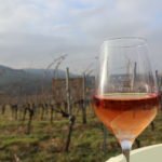 Einen Rose mit Aussicht auf dem WinterWeinweg Kernen-Stetten