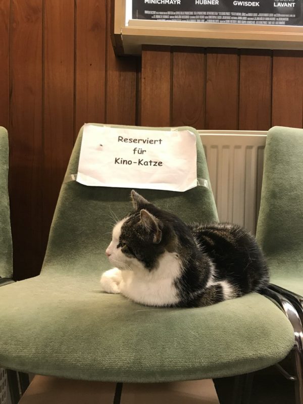 "Reserviert für Kino-Katze" im Inselkino Juist