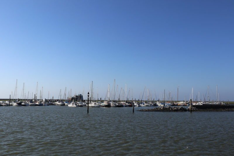 Yachthafen Norddeich Mole mit vielen kleinen Booten