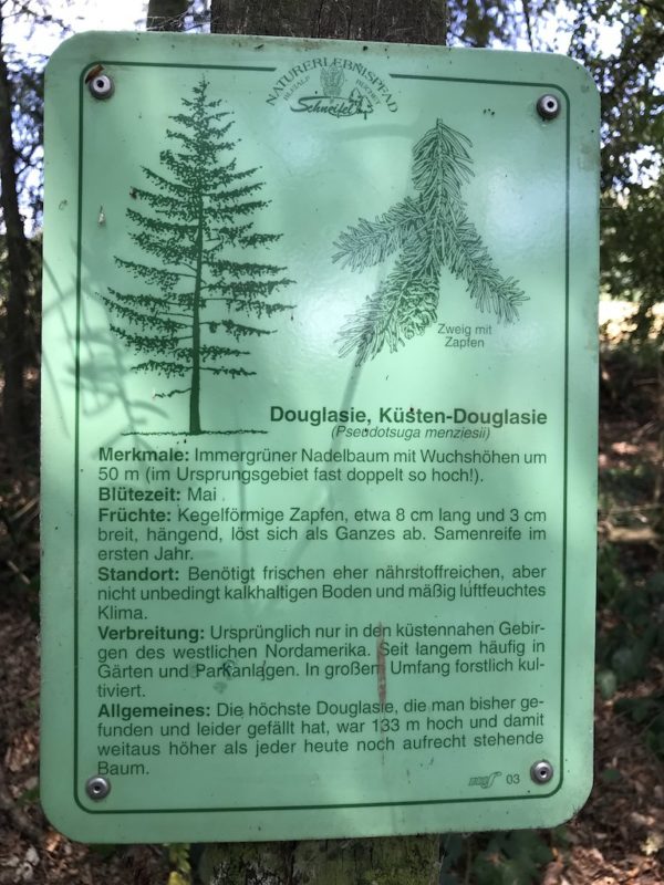 Schild mit Wissen über den Wald auf dem Bach Pfad im NaturWanderPark delux