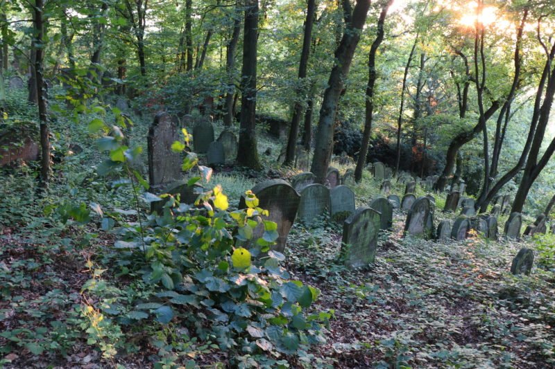 Gräber auf dem Jüdischen Friedhof Bingen