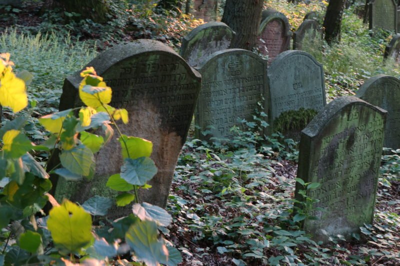 Grabsteine, kurz vor dem umkippen auf dem Jüdischen Friedhof Bingen