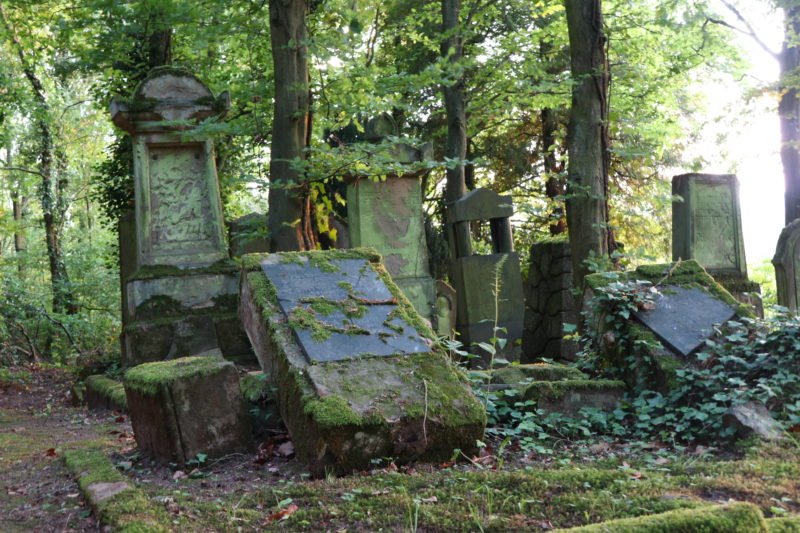 Und auch viele schon umgekippte Grabsteine auf dem Jüdischen Friedhof Bingen