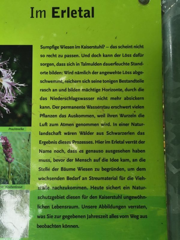 Informationstafeln wie hier im Erletal säumen den Kaiserstuhlpfad