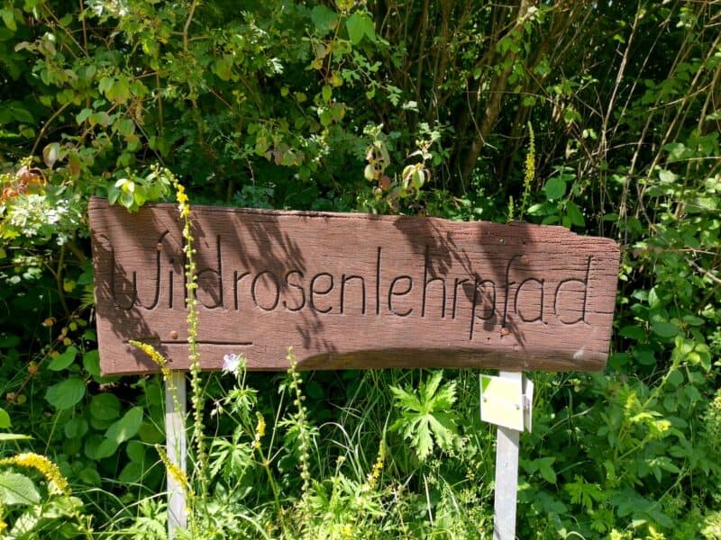 Schild zum Anfang/Ende des Wildrosenlehrpfades bei der Alpakafarm Schaber