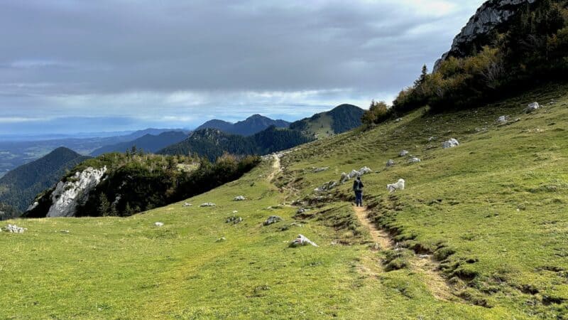 Der Weg der Kampenwandumschreitung nach der Kapelle des Friedens. Mit Wanderin mit Hund