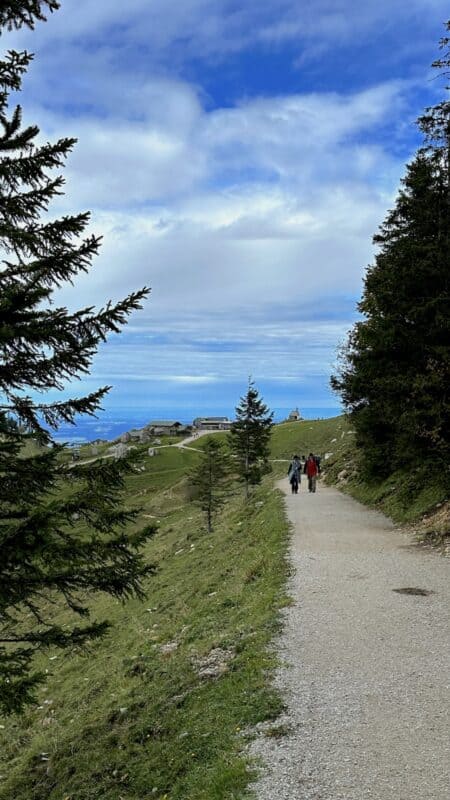 Breiter Wanderweg zur Steinlingalm