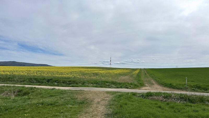Ab in die Felder nach Merkendorf auf dem Weg nach Drosendorf