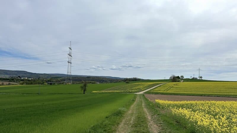 Immer schön geradeaus in Richtung des Stromhäuschens