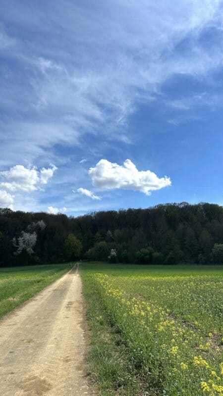 um dann endlich rechts runter vom Asphalt in Richtung Wald zu führen