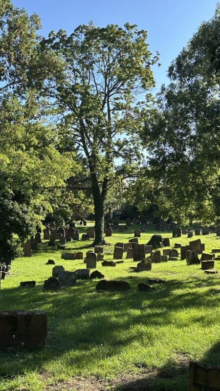 Und noch mehr Grabsteine auf dem jüdischen Friedhof "Heiliger Sand" in Worms