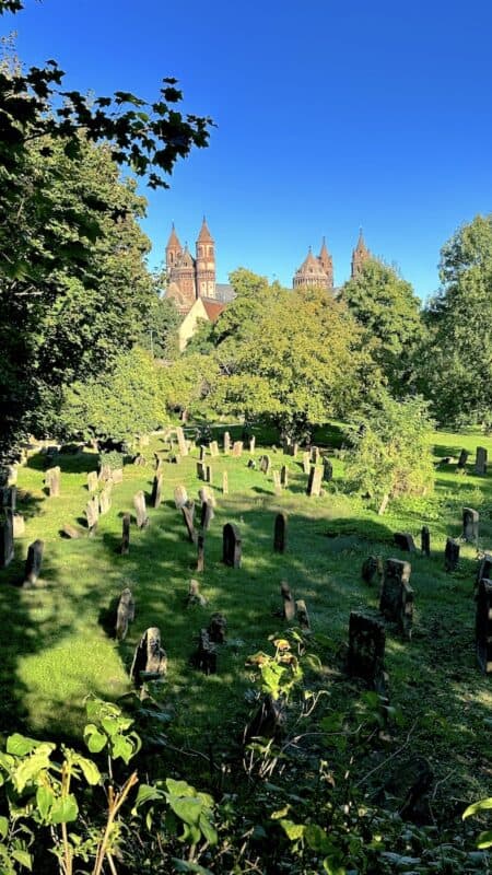 Martin Buber Blick über den jüdischen Friedhof zum Dom in Worms