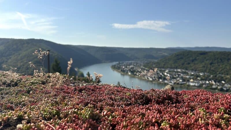 Blick auf den Rhein über die Mauer des Oberen Zwingers der Marksburg